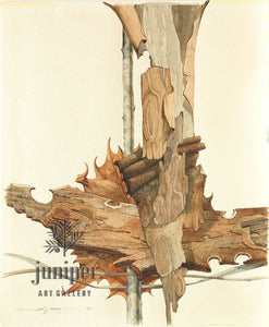 Reproduction - Sycamore Bark in Browns by Paul J Sweany