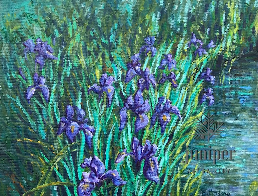 Blue Flag Irises by Grace (Butedma) Gonso – Juniper Art Gallery