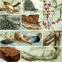 Compositions in Texture (reproduction from original watercolor by Paul J Sweany)