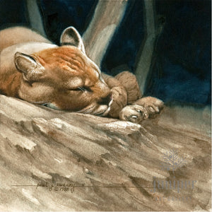 Sleeping Cougar (original) watercolor by Paul J Sweany