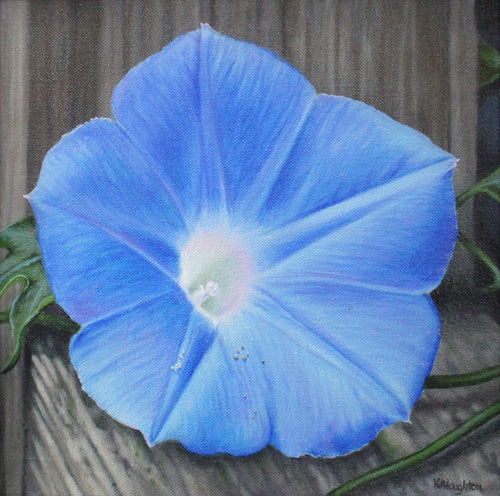 Good Morning by Kathryn J. Houghton