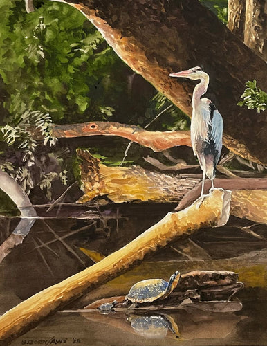 The Look Out by Brian Gordy