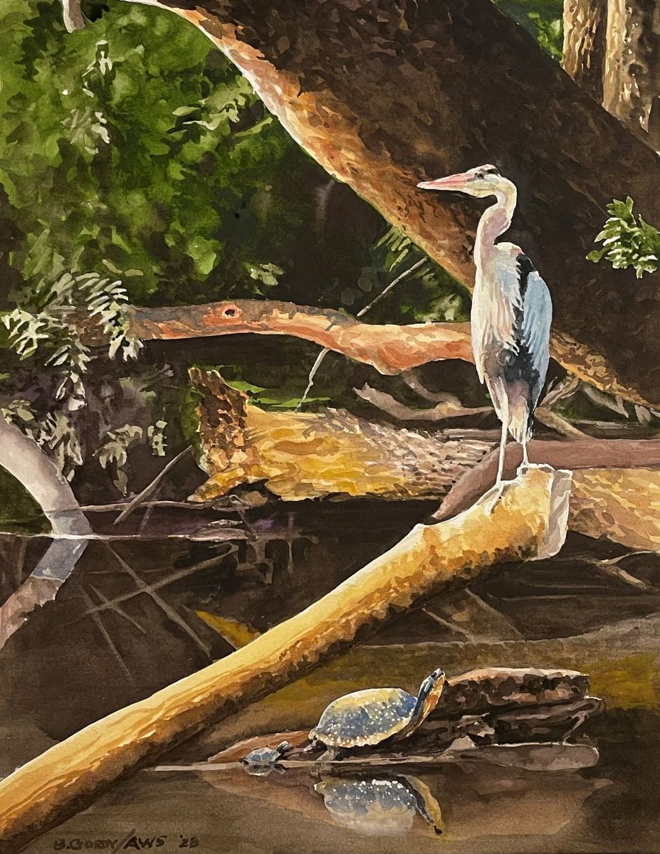 The Look Out by Brian Gordy