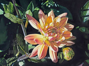 Dahlia (reproduction) by Erin Duff