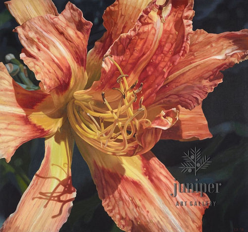 Daylily (reproduction) by Erin Duff