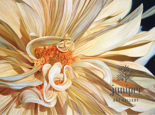 Ice Cream Dahlia (reproduction) by Erin Duff