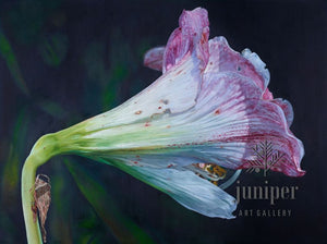 Lily (reproduction) by Erin Duff