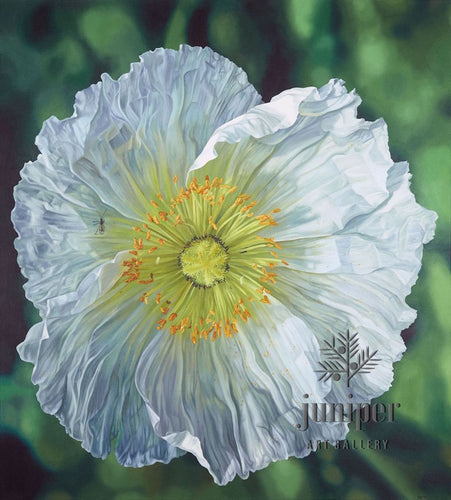 White Poppy (reproduction) by Erin Duff