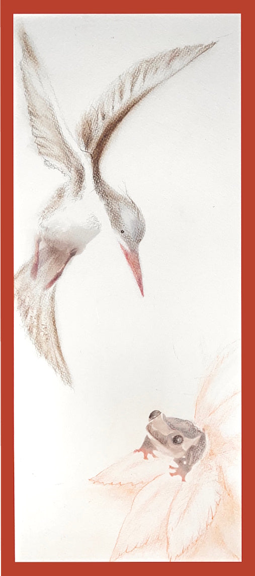 and then Rosuva hopped away by Ransom Haile