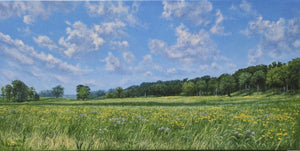 Celestial Plains by Kathryn J. Houghton