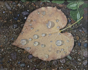 Beads by Kathryn J. Houghton