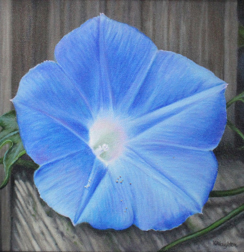 Good Morning by Kathryn J. Houghton