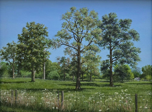 Heartwoods by Kathryn J. Houghton