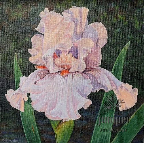 Iris Lights by Kathryn J. Houghton