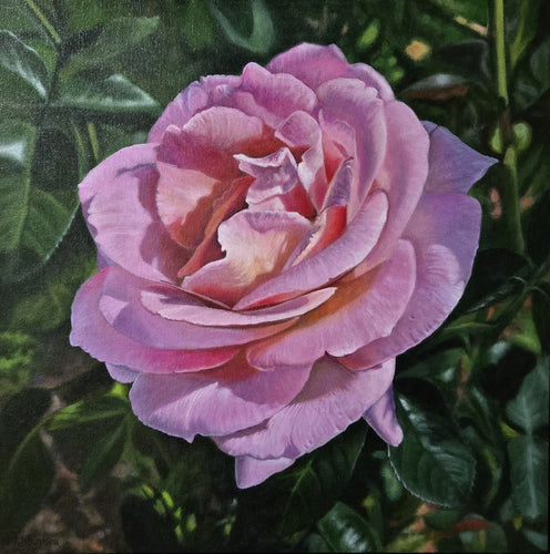 Rose-Colored, Nevertheless  by Kathryn J. Houghton