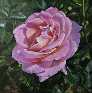 Rose-Colored, Nevertheless  by Kathryn J. Houghton