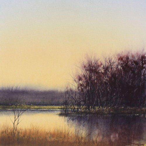 Evening at Yellowwood by Allen Hutton