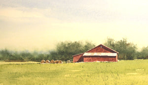 Summer Field by Allen Hutton