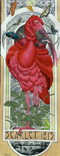 Scarlet Ibis by Jonathan Nash