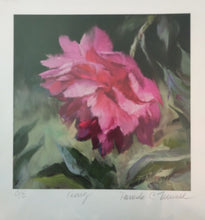 Peony (reproduction) by Pamela C. Newell