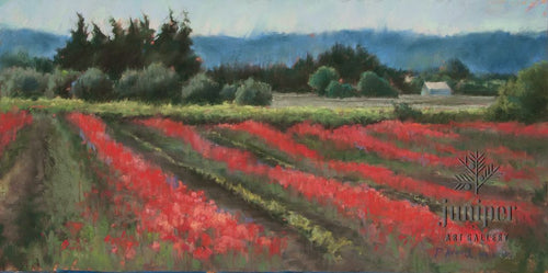 Sur le Chemin de Cucuron, pastel by Pamela Newell