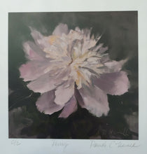Peony (reproduction) by Pamela C. Newell