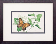Fritillary on Hydrangea, ORIGINAL watercolor by Paul J Sweany