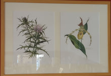 reproductions (Paul J Sweany) framed