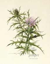 PJS-Reproduction - Milk Thistle & Lady Slipper by Paul J Sweany