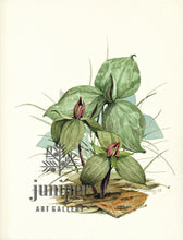 Trillium, ORIGINAL watercolor by Paul J Sweany