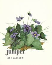 Wild Violets, ORIGINAL watercolor by Paul J Sweany