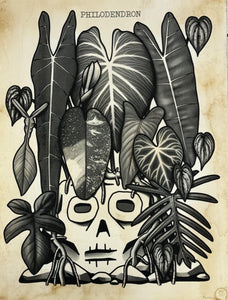 Philodendron by Jason Profant