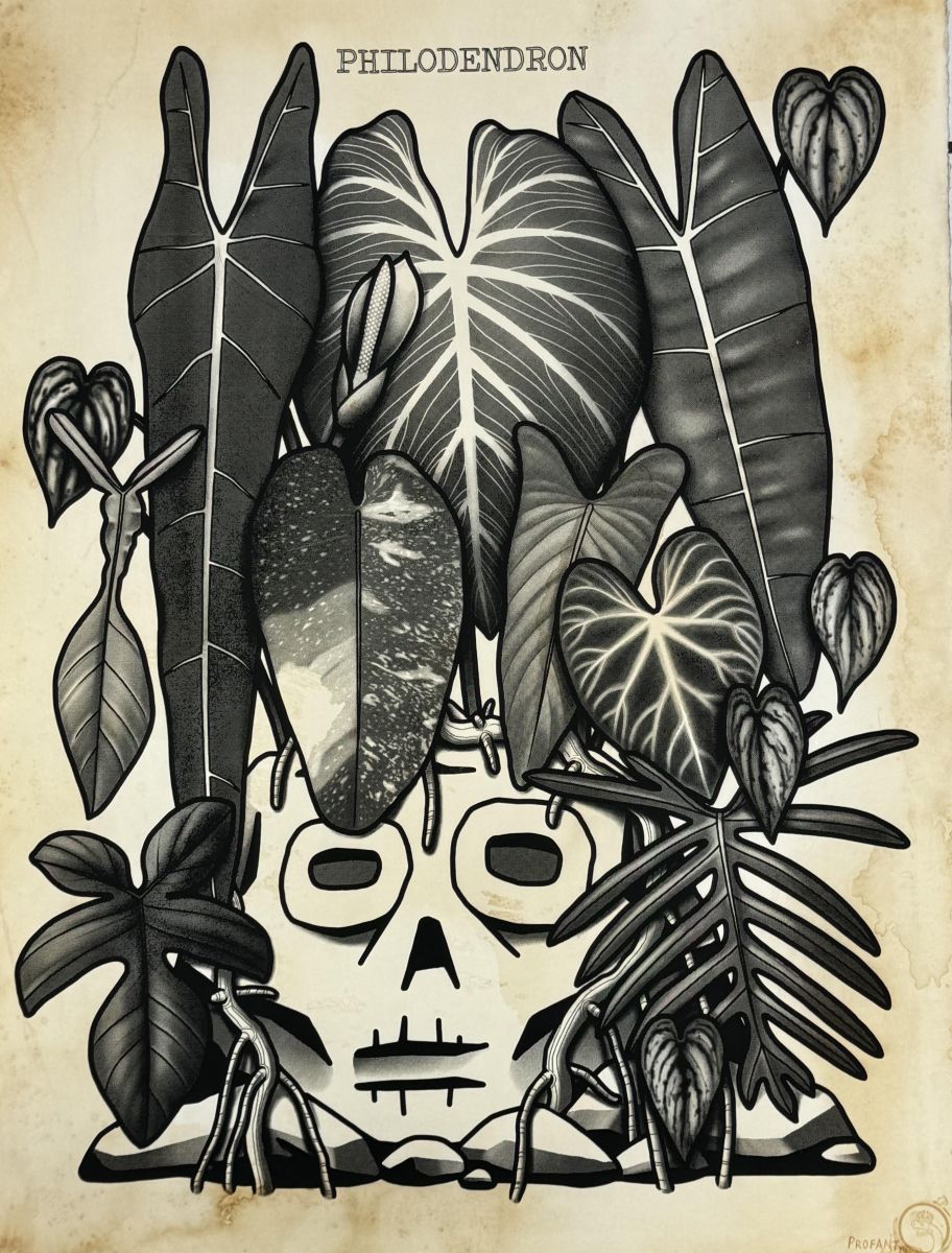 Philodendron by Jason Profant