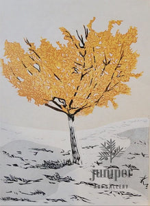 Ginkgo Tree by M. Rees