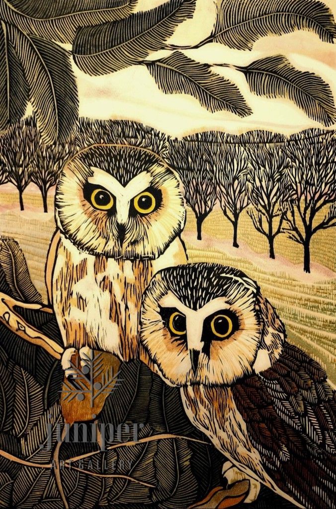 Eastern Screech Owls by M. Rees