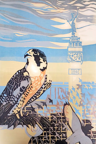 Peregrine Falcon Indianapolis by M. Rees