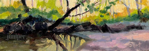 (Unframed) Cool Creek by Donna Shortt