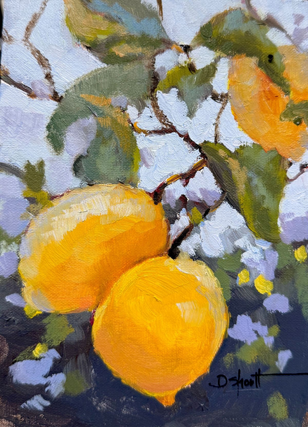 (Unframed) Lemony by Donna Shortt
