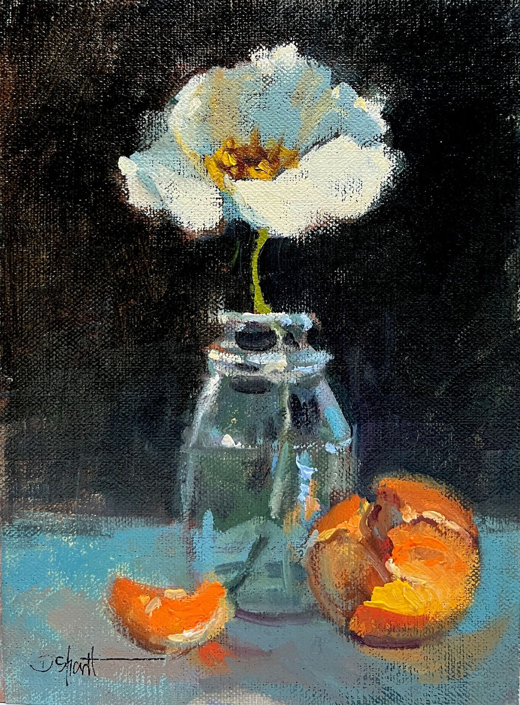 (Unframed) White Poppy by Donna Shortt
