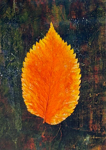 Dutch Elm by Becky Wood