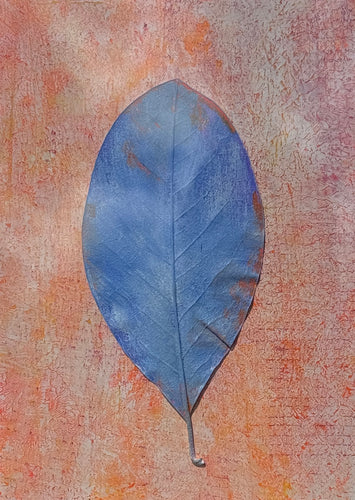 Maybe Magnolia by Becky Wood