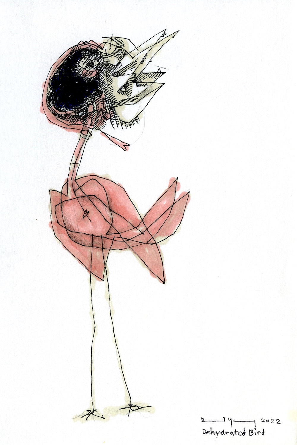 Dehydrated Bird by David J. Emerson Young