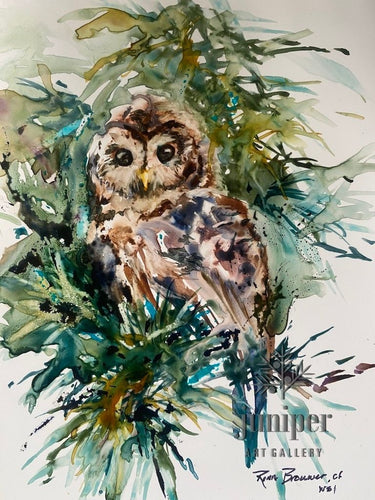 Barred Owl, watercolor by Rena Brouwer