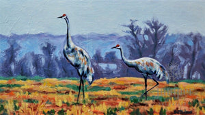 Sandhill Cranes by Grace (Butedma) Gonso