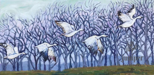 Snow Geese, oil painting by Grace (Butedma) Gonso