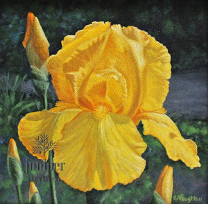 Iris Gold, acrylic painting by Kathryn J. Houghton