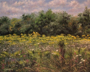 Meadow Green by Kathryn J. Houghton