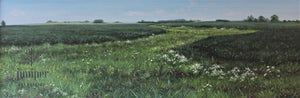 Zig Zag Field, acrylic painting by Kathryn J. Houghton