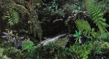 Rainforest Paradise, reproduction from origanal collage by Margaret L. Sweany