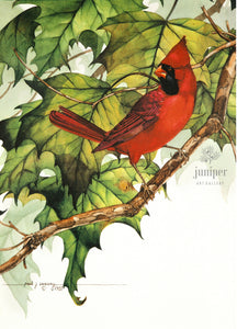 Cardinal on Sycamore Branch (reproduction from original watercolor by Paul J Sweany)